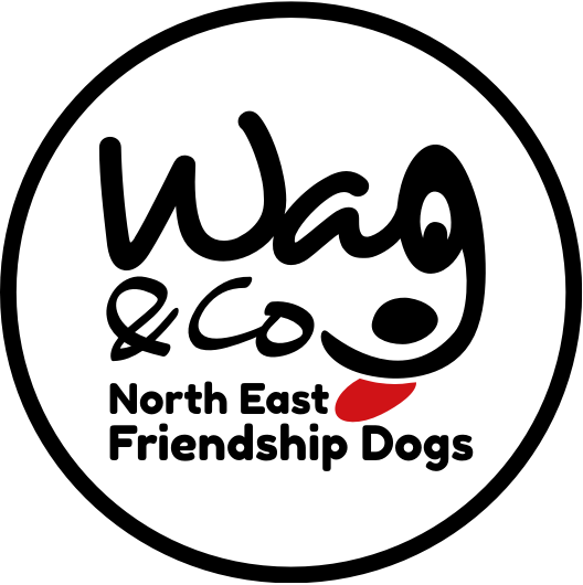 Photo of Wag & co